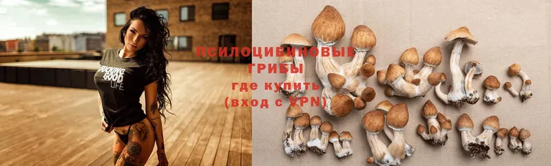 Галлюциногенные грибы Psilocybine cubensis  где можно купить наркотик  Лиски 